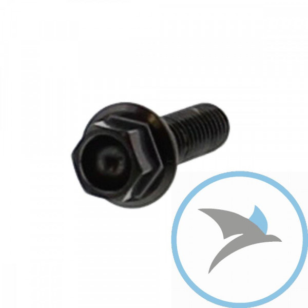 Schraube 6 Kant Pro BoltM6X1.00 20 mm Edelstahl V4A schwarz - LSSHX620BK