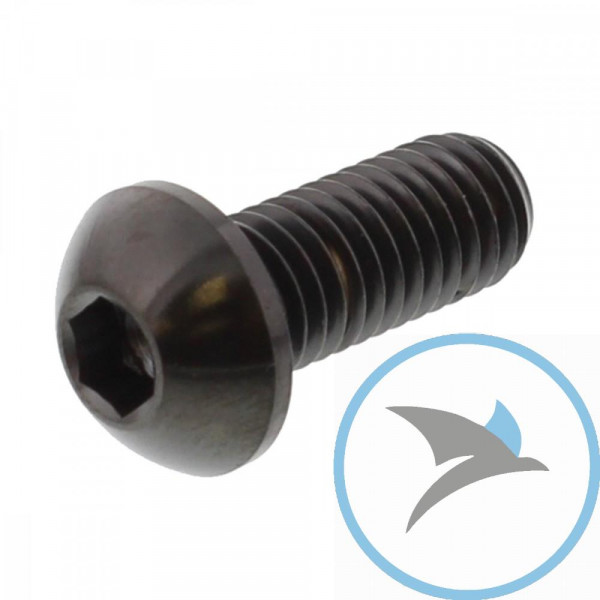 Schraube Bremsscheibe Pro Bolt M8X1.25 mm 20 mm Titan schwarz - TIDISCDUC30BK