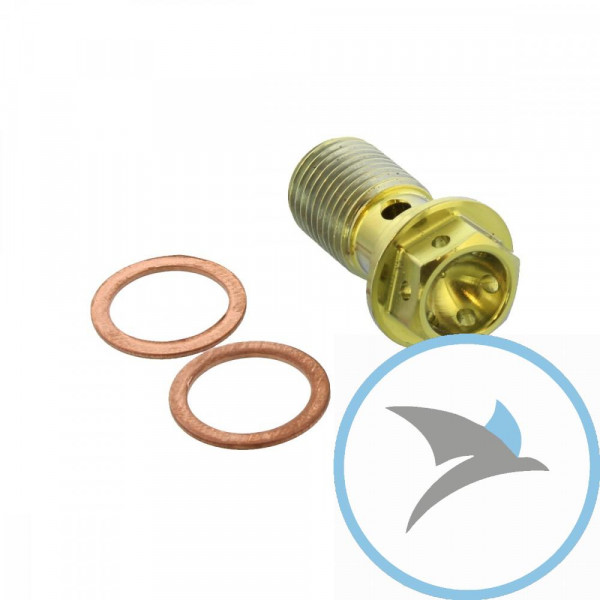 Hohlschraube einfach M10 x 1.00 Titan Racing gold PB - TIBANJOS10FRG