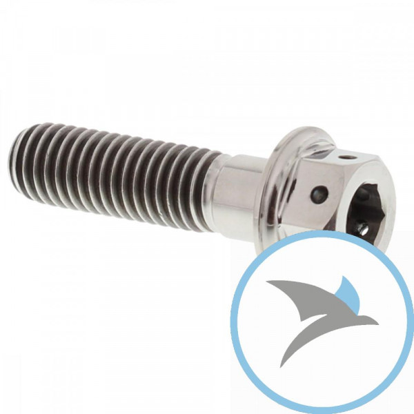 SCHR DUALDRIVE JMP BOLT - M8X1.25MM 30MM TI