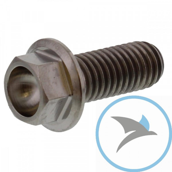 Schraube 6 Kant Pro Bolt M8X1.25 20 mm Titan - TIHX820