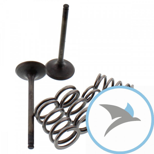 Ventil Satz Prox AUSLASS+Federn - 28.SES4406-1