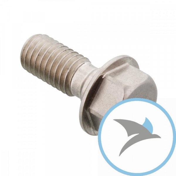 Hohlschraube einfach M8X1.25 Edelstahl A2