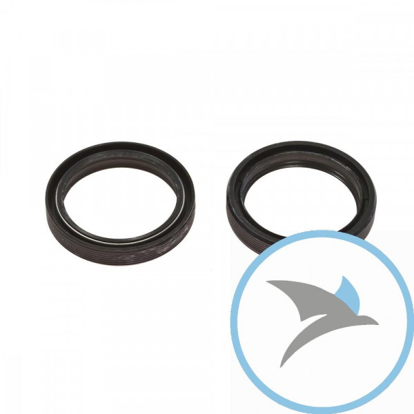 Simmerring Satz Gabel Ariete 50X63X11 - ARI 093
