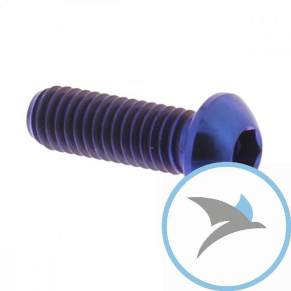 Schraube Bremsscheibe Pro BoltM6X1.00 mm 18 mm Titan blau -