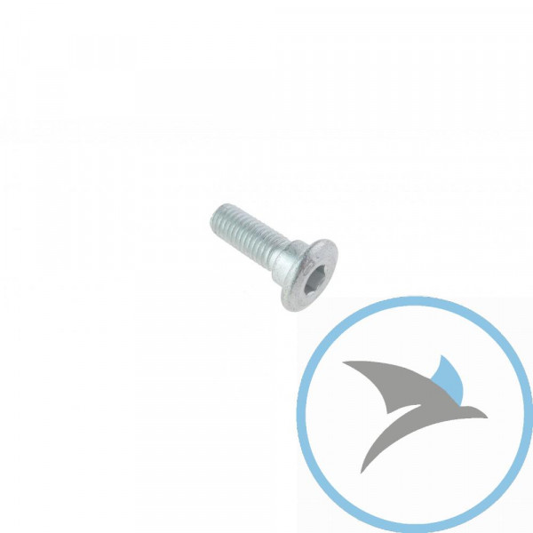 Schraube Bremsscheibe Originalersatzteil M8X1.25X25MM - GU30611460