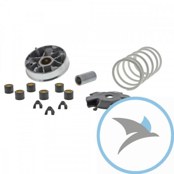 Variomatik tuning Malossi MHR MULTIVAR