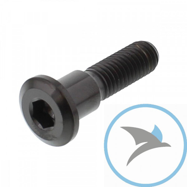 Schraube Bremsscheibe Pro BoltM8X1.25 mm 33 mm Titan schwarz