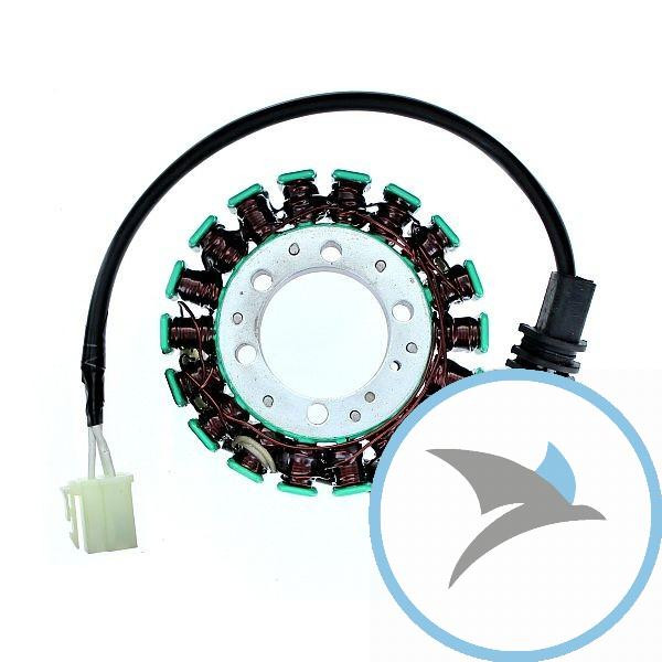 Lichtmaschine Stator - ESG795