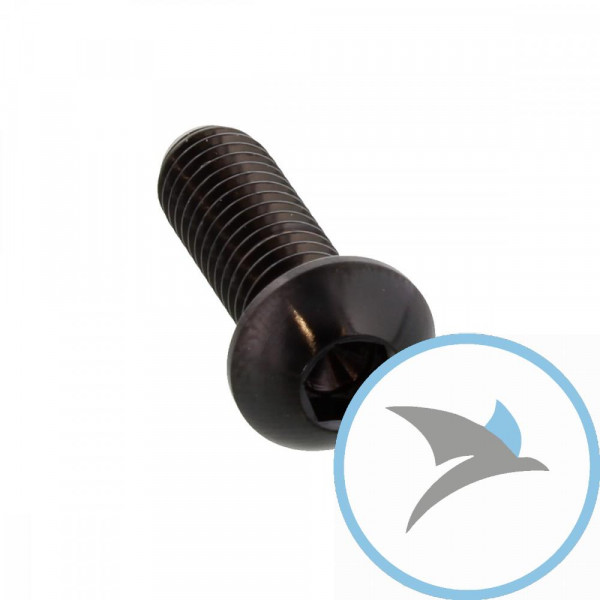 Schraube Bremsscheibe Pro Bolt M6X1.00 mm 18 mm Edelstahl V4A schwarz - LSSDISCBMW002BK