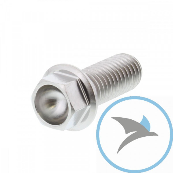 SCHR 6KT JMP BOLT - M10X1.50 25MM TI