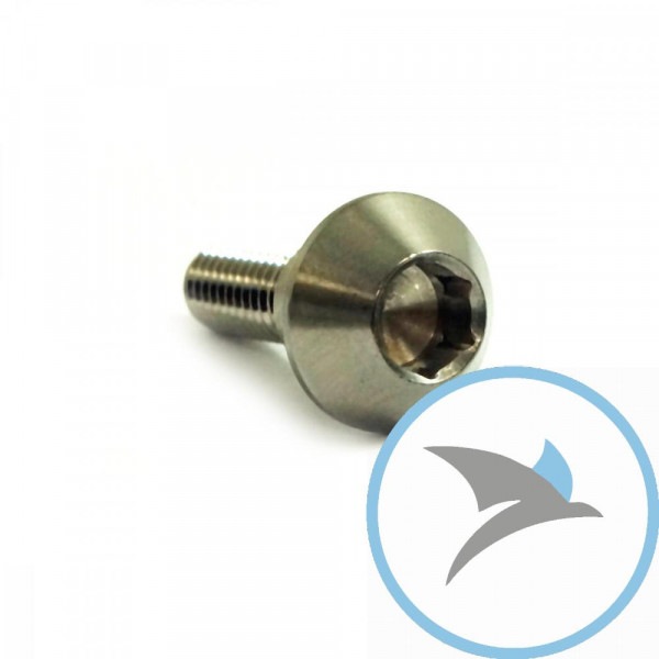 SCHR BR SCHEI JMP BOLT - M6X1MM 20MM VA A4