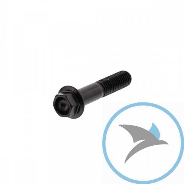 Schraube 6 Kant Pro BoltM8X1.25 40 mm Edelstahl V4A schwarz