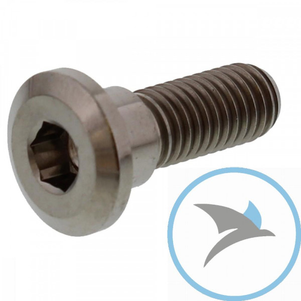 SCHR BR SCHEI JMP BOLT - M8X1.25MM 24MM TI
