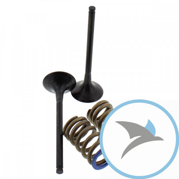 Ventil Satz Prox AUSLASS+Federn - 28.SES6351-1