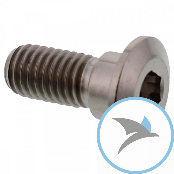 Schraube Bremsscheibe Pro Bolt M8X1.25 mm 20 mm Titan - TIDISCYAM20