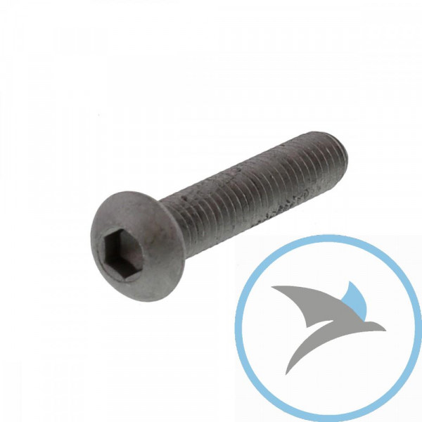 Schraube Bremsscheibe OriginalersatzteilM6X1.25X30 mm -
