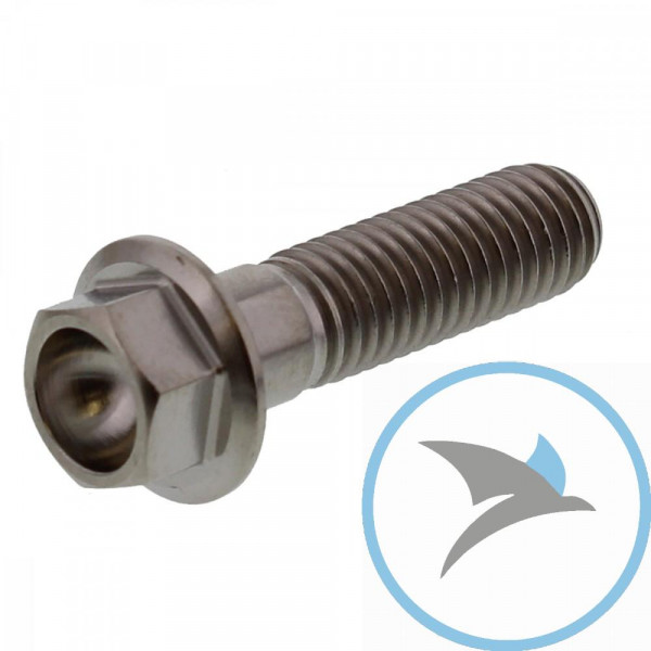 Schraube 6 Kant Pro Bolt M8X1.25 30 mm Titan - TIHX830