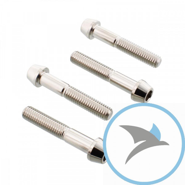 Schraube KLEMM Gabel Satz Pro Bolt Edelstahl V4A - SSFAPINCH130