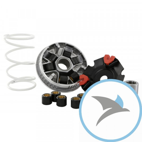 Variomatik tuning Malossi MULTIVAR