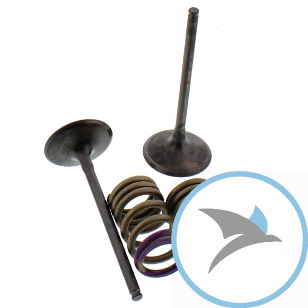 Ventil Satz Prox EINLASS+Federn - 28.SIS4336-2