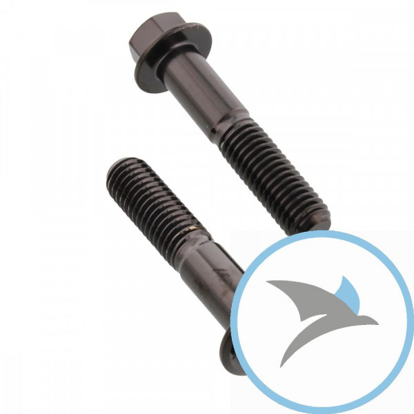 Schraube KLEMM Gabel Satz Pro Bolt Edelstahl V4A schwarz - SSFAPINCH170BK