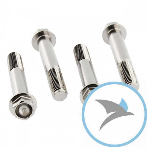 Schraube Bremssattel Satz Pro Bolt Edelstahl V4A - SSFBMON350