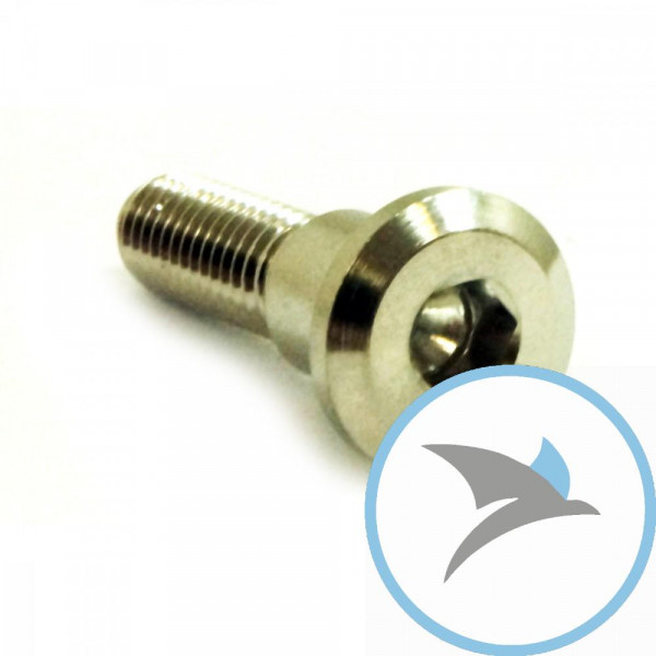 Schraube Bremsscheibe Pro Bolt M8X1.25 mm 33 mm Edelstahl V4A - LSSDISCGSXR