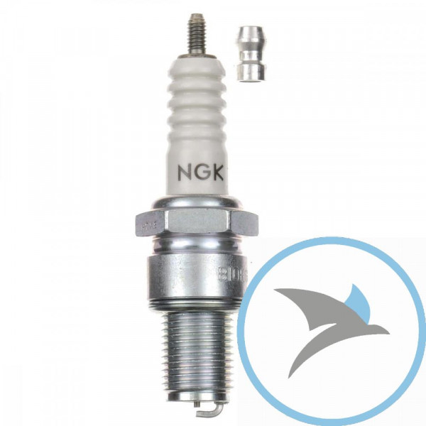 Z KERZE B10EG NGK - 3630