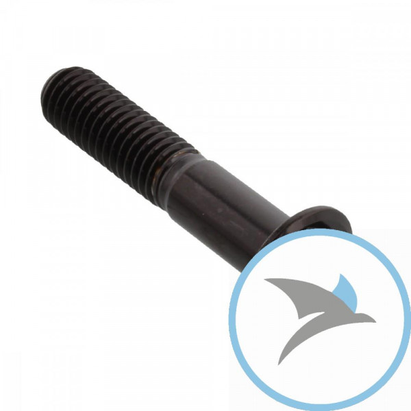 Schraube KLEMM Gabel Pro Bolt Edelstahl V4A schwarz - SSFAPINCH640BK