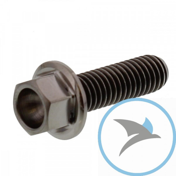 Schraube 6 Kant Pro Bolt M6X1.00 20 mm Titan - TIHX620
