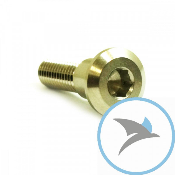 Schraube Bremsscheibe Pro Bolt M8X1.25 mm 30 mm Edelstahl V4A - LSSDISCTRIFR