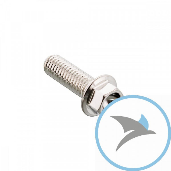 SCHR 6KT JMP BOLT - M8X1.25MM 25MM VA A4