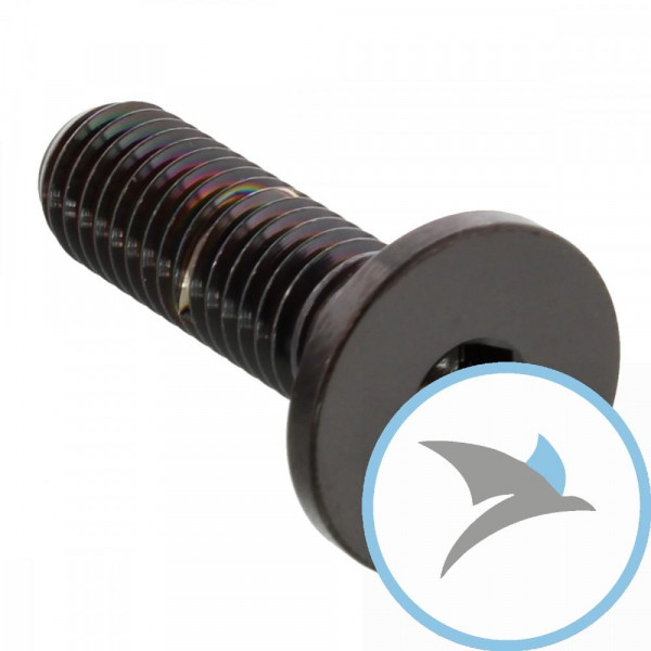 Schraube Bremsscheibe Pro Bolt M8X1.25 mm 26MM Edelstahl V4A schwarz - LSSDISCBMW001BK