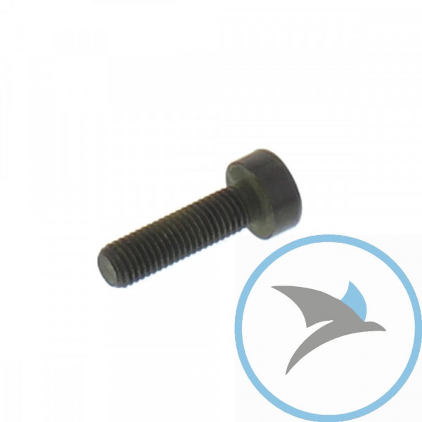 Schraube M7X1.0X30MM