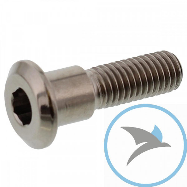 Schraube Bremsscheibe Pro Bolt M8X1.25 mm 30 mm Titan - TIDISCTRIFR