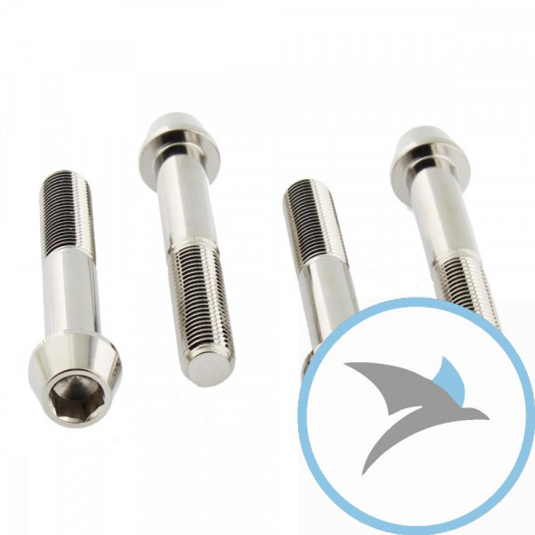 Schraube Bremssattel Satz Pro Bolt Edelstahl V4A - SSFBMON270