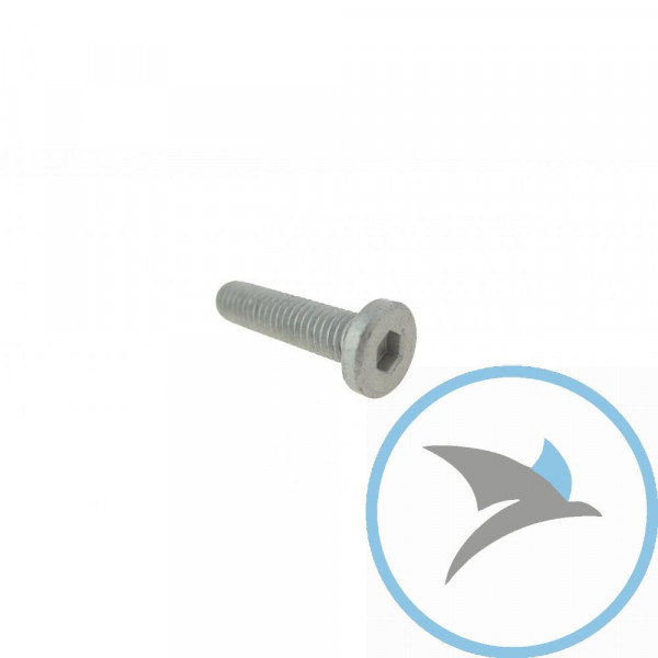 Schraube Bremsscheibe Originalersatzteil M6X1.0X25MM - 668249