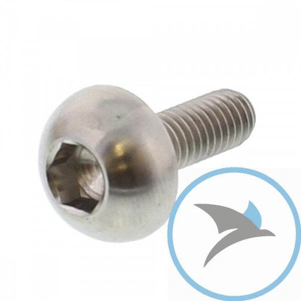SCHR BR SCHEI JMP BOLT - M6X1MM 17MM TI