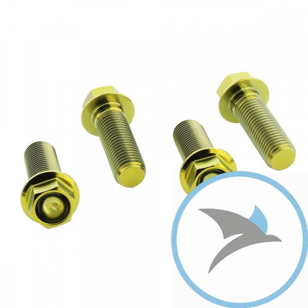 Schraube Bremssattel Satz Pro Bolt Titan gold - TIFBMON30G