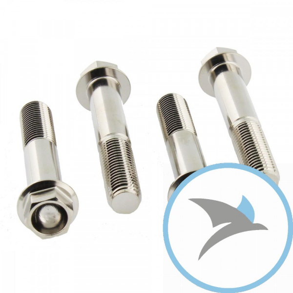 Schraube Bremssattel Satz Pro Bolt Edelstahl V4A - SSFBMON300