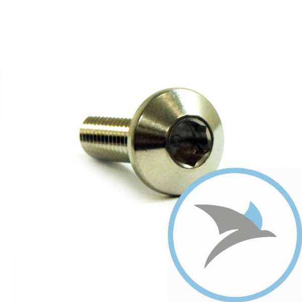 Schraube Bremsscheibe Pro Bolt M8X1.25 mm 25 mm Edelstahl V4A - LSSDISCYAM