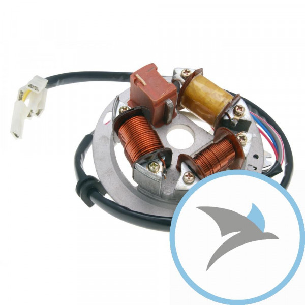 Lichtmaschine Stator