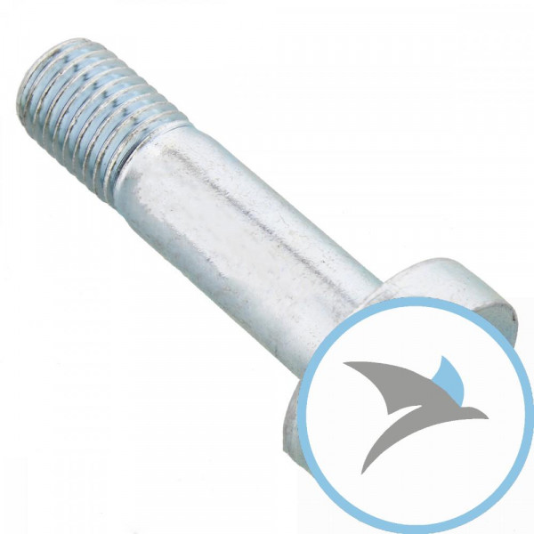 SCHR KERA OE - M10X1.25X38MM