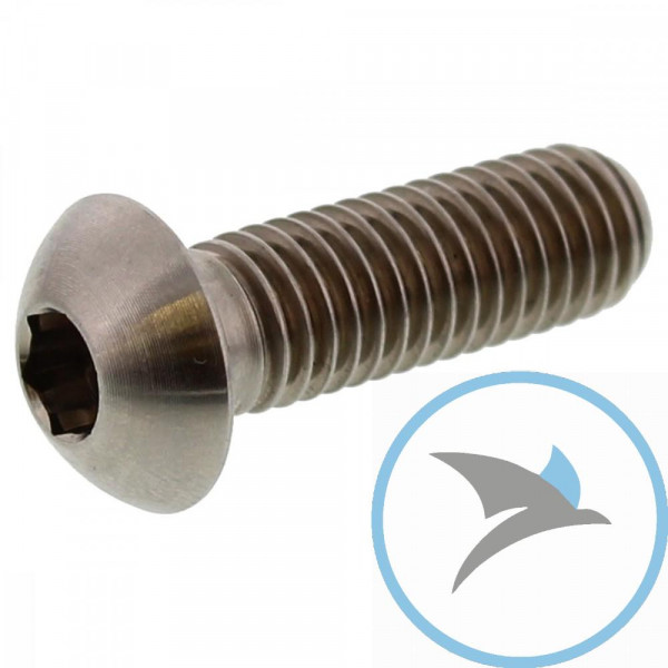 Schraube Bremsscheibe Pro Bolt M8X1.25 mm 25 mm Titan - TIDISCBMW