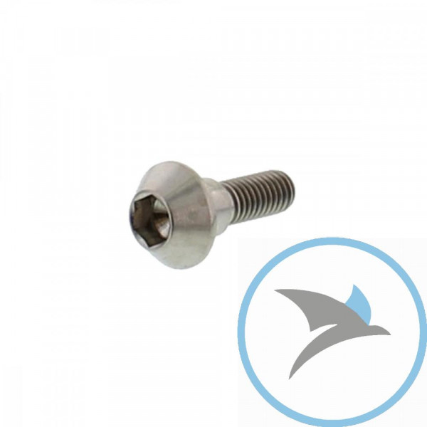 SCHR BR SCHEI JMP BOLT - M6X1MM 20MM TI