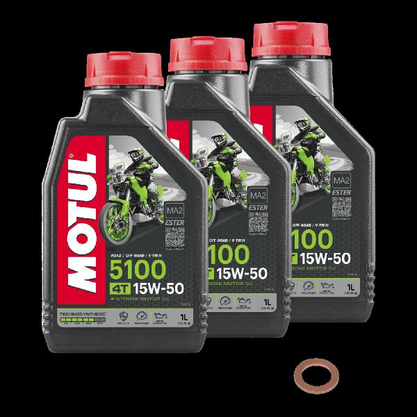 BMW R 100 RS/2 Monolever Service Kit Ölwechsel Öl Motul 5100 15W50 Schraube