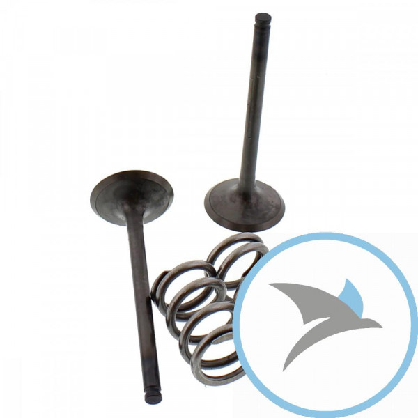 Ventil Satz Prox AUSLASS+Federn - 28.SES3407-1