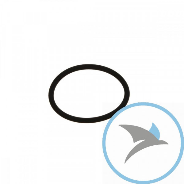 Einlassdichtung O-Ring Athena 2X25MM