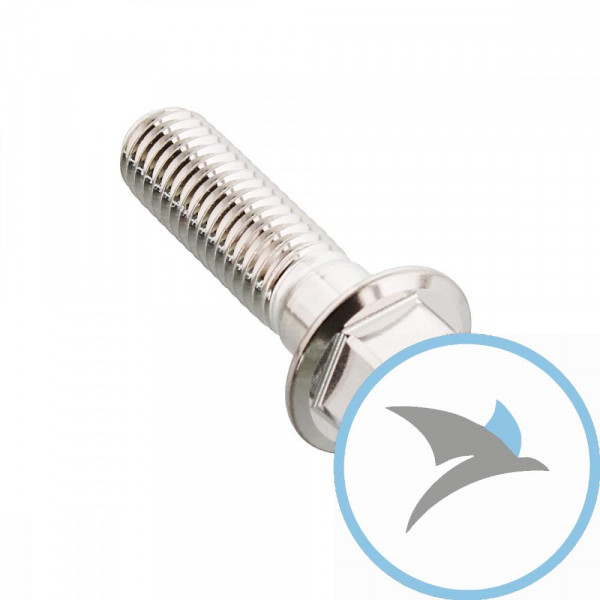 SCHR 6KT JMP BOLT - M8X1.25MM 30MM VA A4
